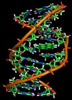 Xarelto Infertility