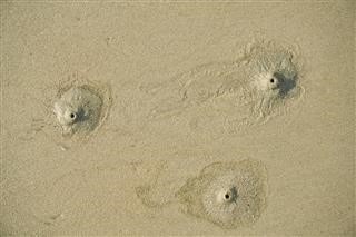 Infertility and Prostate Issues