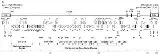 lds.org Infertility