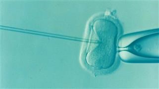 Infertility Can Result From Problems