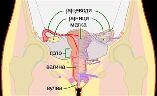 Infertility Specialist Tulsa Ok