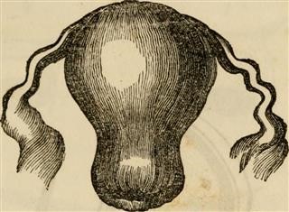 Infertility Assessment Process