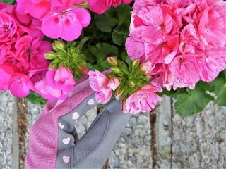 Endometriosis and Infertility a Systematic Review