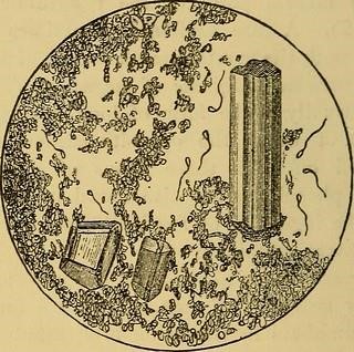 Acupuncture Infertility Clinic