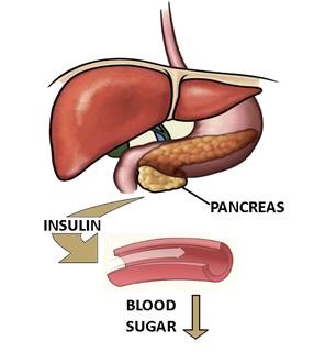 Infertility Treatment Home Remedies