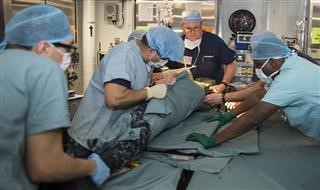 Infertility Fellowship Courses in India