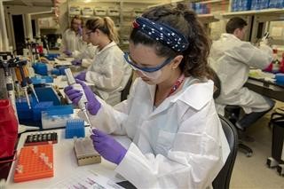 Infertility Prevalence 2017