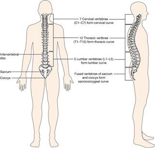 Female Infertility N97.9