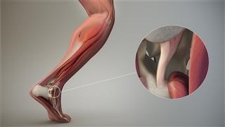 Infertility Quantitative Research