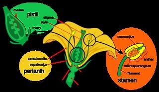 Second Infertility Blog