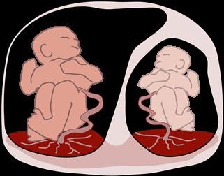 Westmed Infertility Doctors