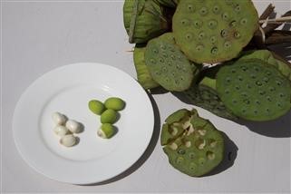 Chinese Medicine Infertility Herbs