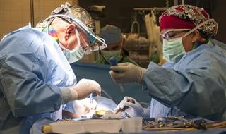 Unexplained Infertility Implantation Failure