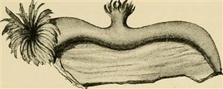 Infertility Treatments and Insurance Coverage