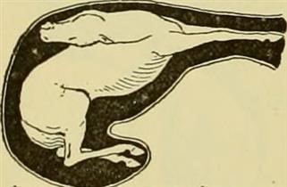 Infertility Treatments in the 1920s