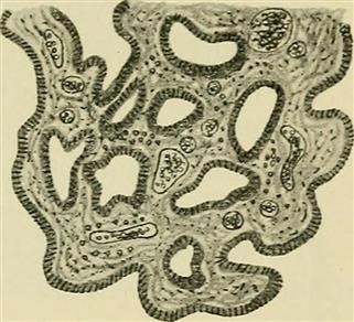 Infertility Clinic Free
