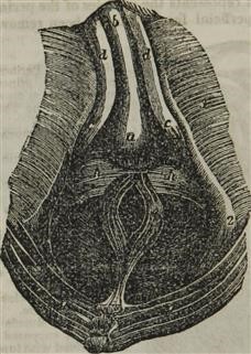 Infertility Support Group Nashville Tn