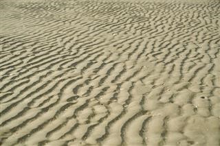 Homeopathy for Infertility Treatment a Case Series