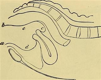 Infertility Skin Problems