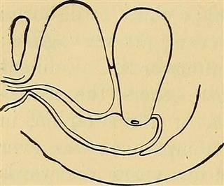 Infertility Doctors in the Philippines