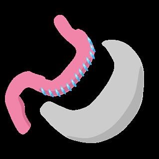Infertility Support Group Adelaide