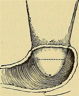 Infertility Clinics in Bahrain