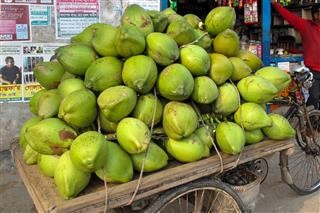 For Infertility Medicine in Patanjali