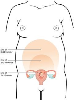 Infertility Fellowship India