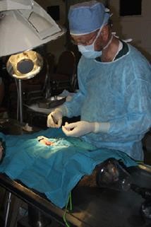 Unexplained Infertility Success After Laparoscopy