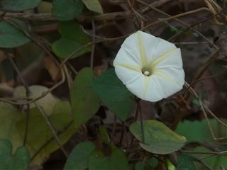 Bioidentical Hormones Infertility