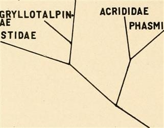 Infertility as a Psychological Problem