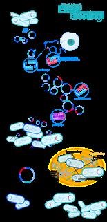 Prevention of Infertility in Female