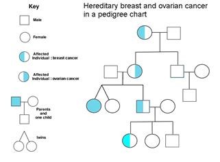 Infertility Treatment Germany