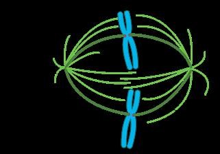Cost of Infertility Treatment Uk