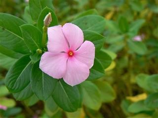 Health Insurance Infertility Coverage Florida